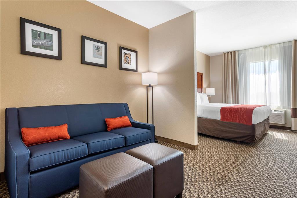 Comfort Inn & Suites Navasota - photo 18
