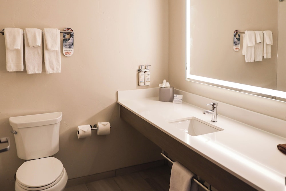 Holiday Inn Express Hotel & Suites Douglas by IHG - photo 20