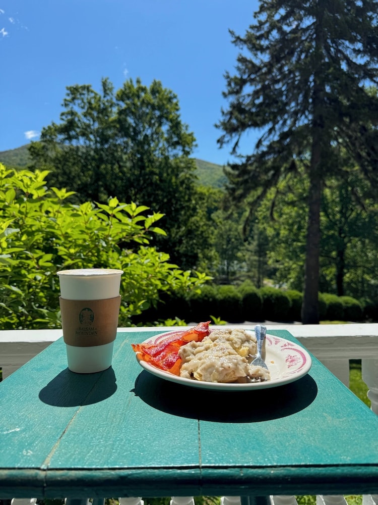 Balsam Mountain Inn - photo 21