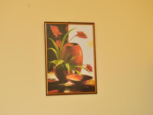 Lasindu Guest in Weligama, Sri Lanka