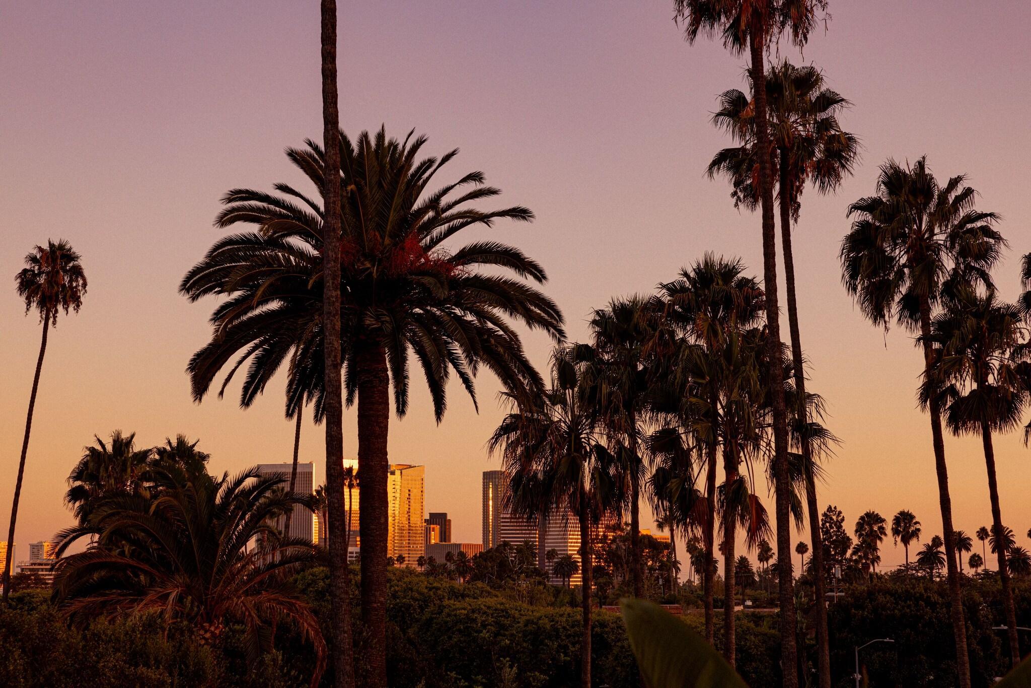 The Beverly Hills Hotel - photo 23