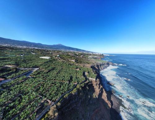 Banana Paradise — La Orotava — photo 4