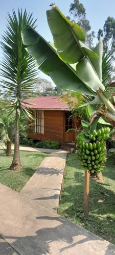Chontaqui Eco Lodge 15648502 — Oxapampa