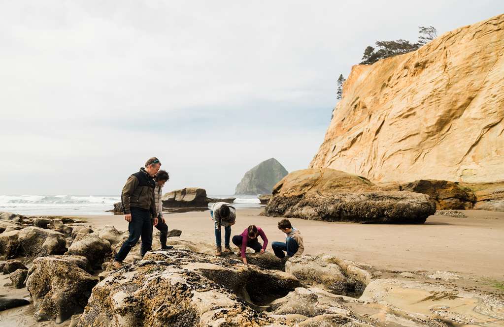 Inn at Cape Kiwanda - photo 10