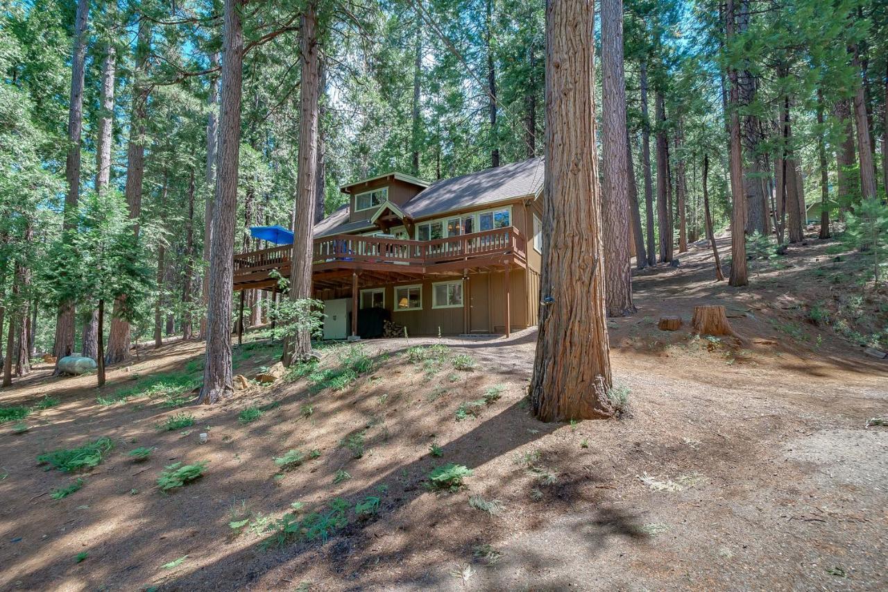 Dacha Galina in Arnold, United States