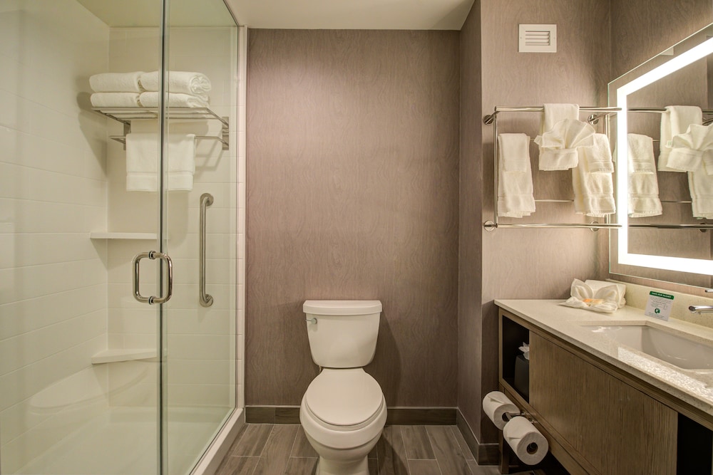 Holiday Inn Hotel & Suites Houston West Katy Mills by IHG - photo 21