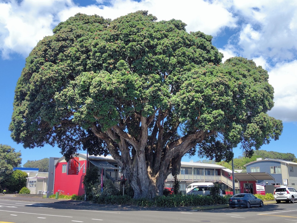 Landmark Manor Motel