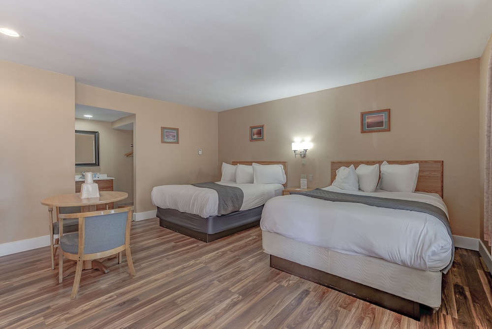 Shasta Pines Motel & Suites - photo 6