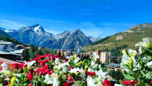 Studio Cabine 4 Pers Les2alpes 21m — hotel in Mont-De-Lans