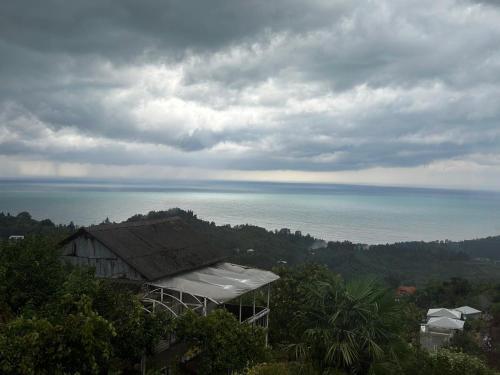 Green Side Olegi - last minute hotel in Batumi