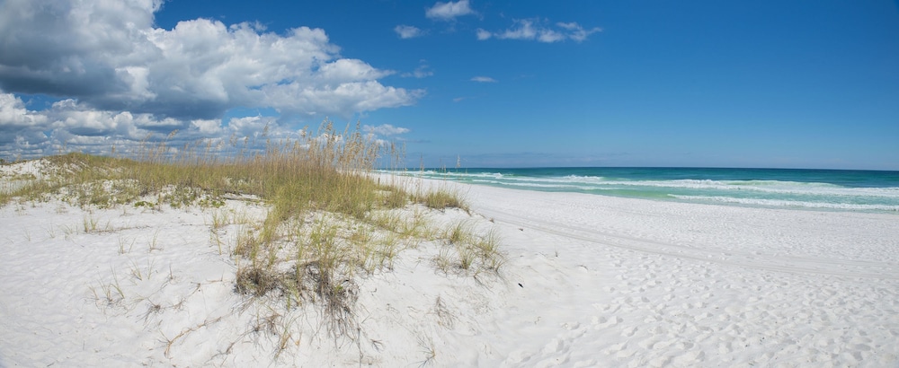 Fairfield by Marriott Inn & Suites Pensacola Pine Forest - photo 27