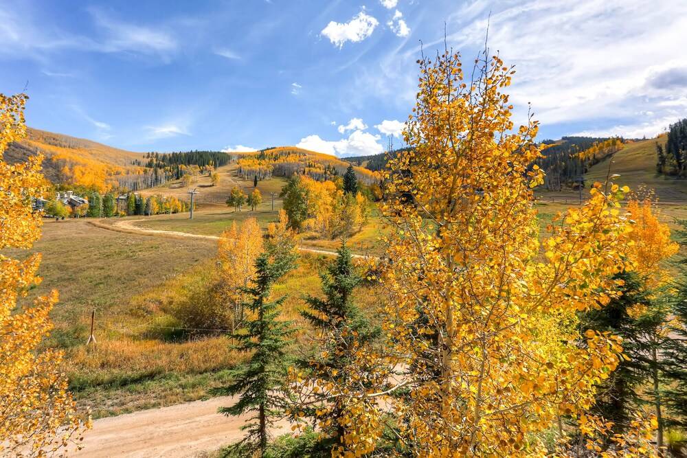 Highlands Slopeside by East West Hospitality - photo 305