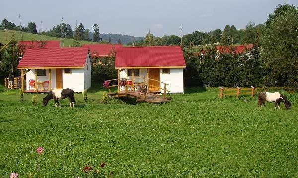 Domek nr8 - last minute hotel in Unknown City