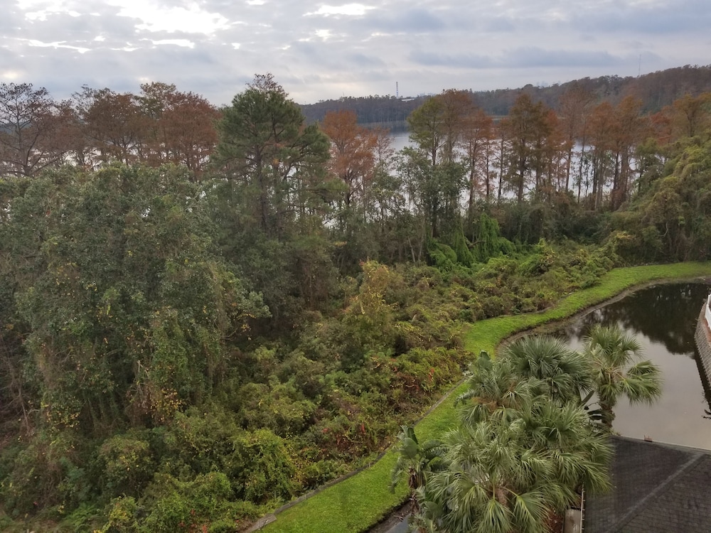 Homewood Suites by Hilton Orlando Maitland - photo 28