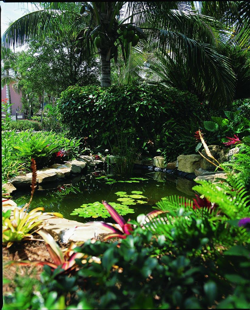 Sanibel Inn - photo 7