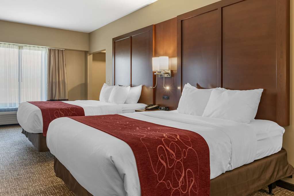 Comfort Suites Manheim Lancaster - photo 16