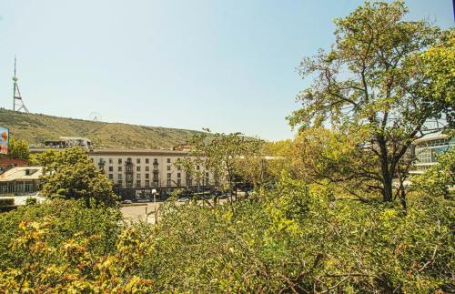 Panoramic Studio Apt in Tbilisi Center By Wehost