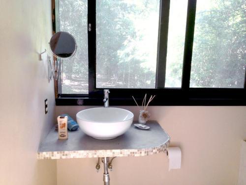 El Colombre in Palenque, Mexico