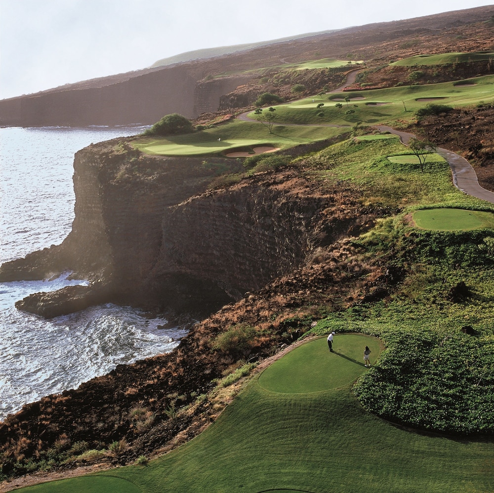 Four Seasons Resort Lanai - photo 85