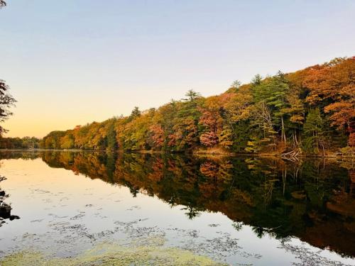 Peaceful Catskills Creek House — 4-Star Luxury Hotel in Saugerties, United States