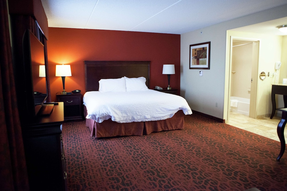 Hampton Inn Rochester Webster - photo 23