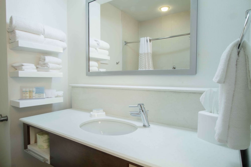 Hampton Inn South Haven - photo 26