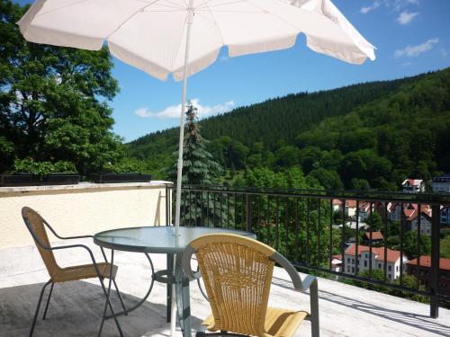 Hotel Waldhaus Hutzelhöh — hotel in Ruhla