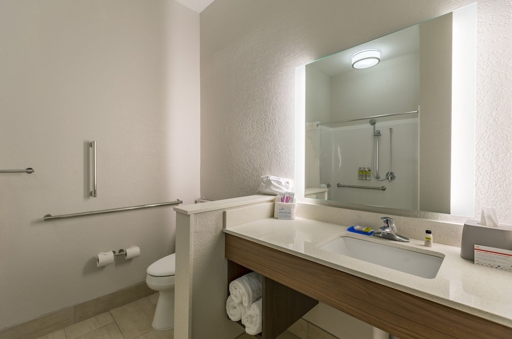 Holiday Inn Express and Suites San Marcos South by IHG - photo 4
