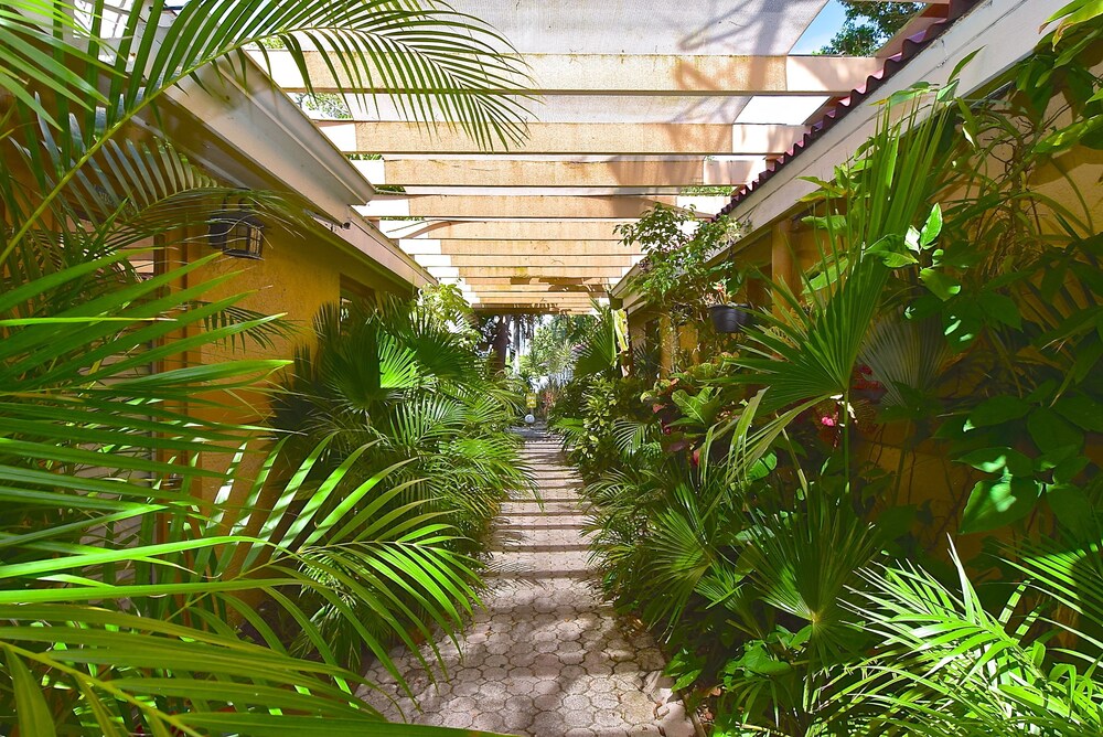 Turtle Beach Resort and Inn - photo 171