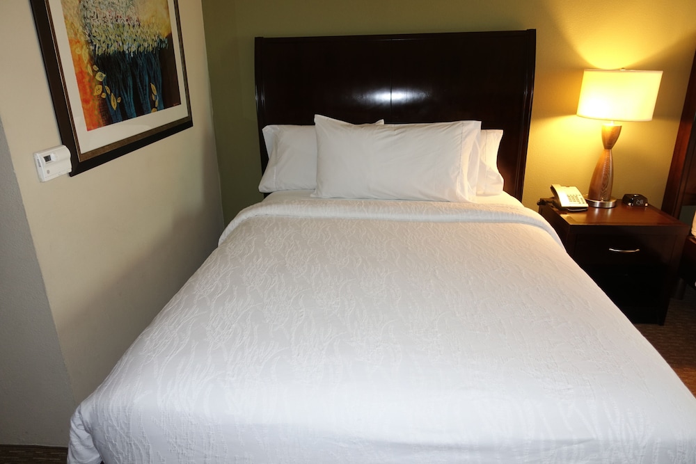 Hilton Garden Inn Houston Pearland - photo 12