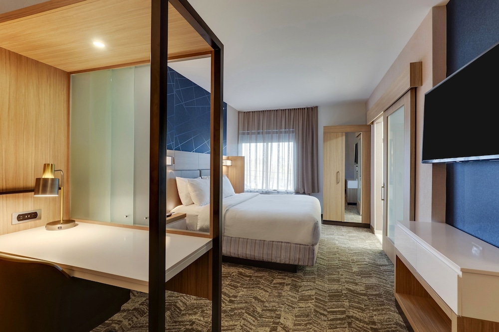 SpringHill Suites by Marriott Cheraw - photo 17