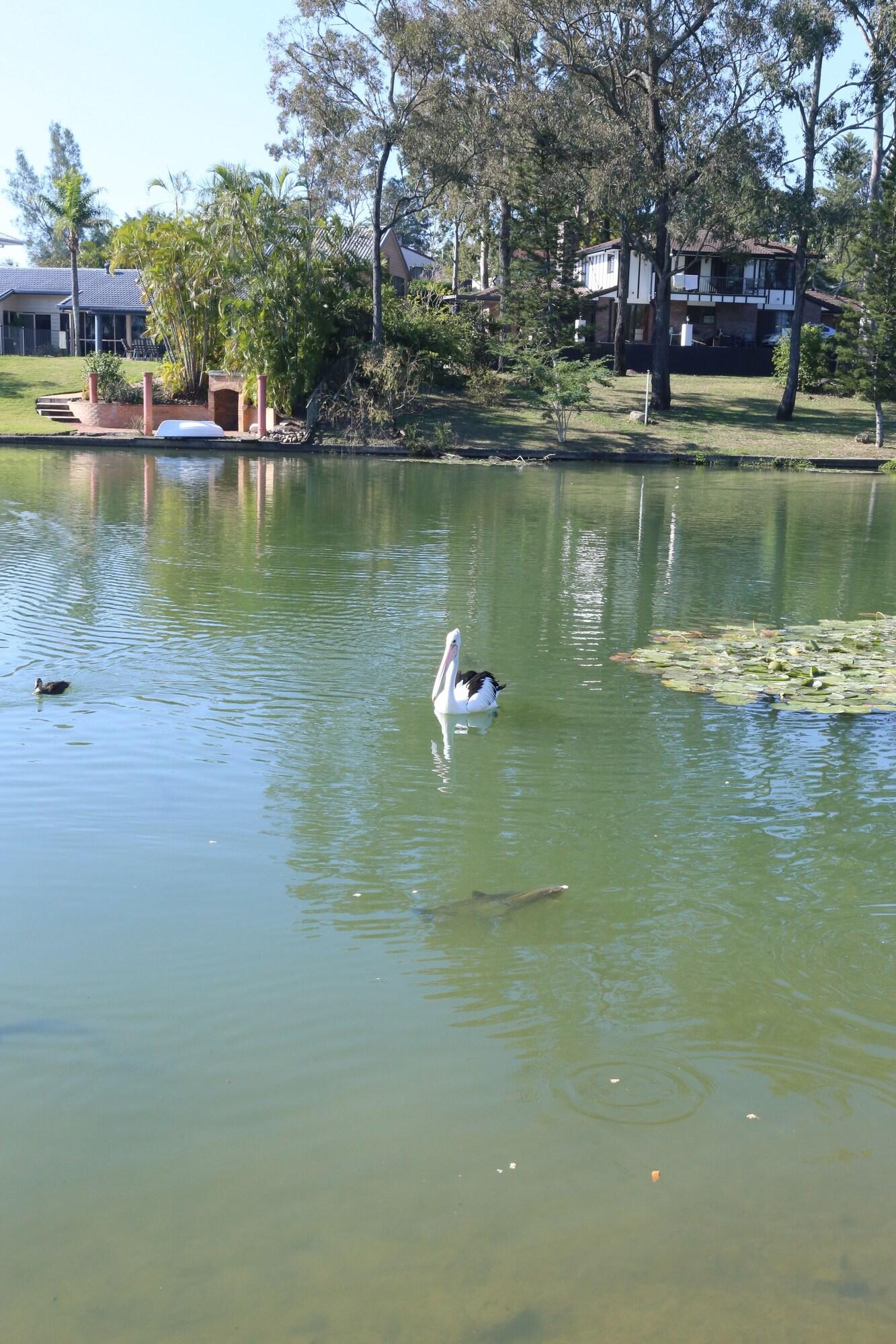 Serene Lakefront Villa Westlake Brisbane — 4-Star Luxury Hotel in Westlake, Australia