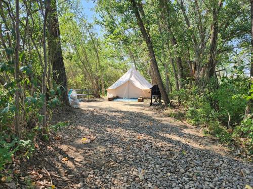 #Y2 Sage & Wildflower Yurt - last minute hotel in Unknown City