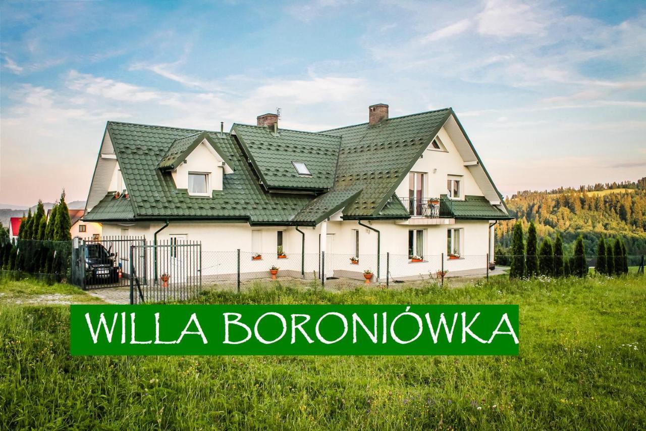 Willa Boroniowka Falsztyn Nad Jeziorem Czorsztynskim — hotel in Lapsze Nizne
