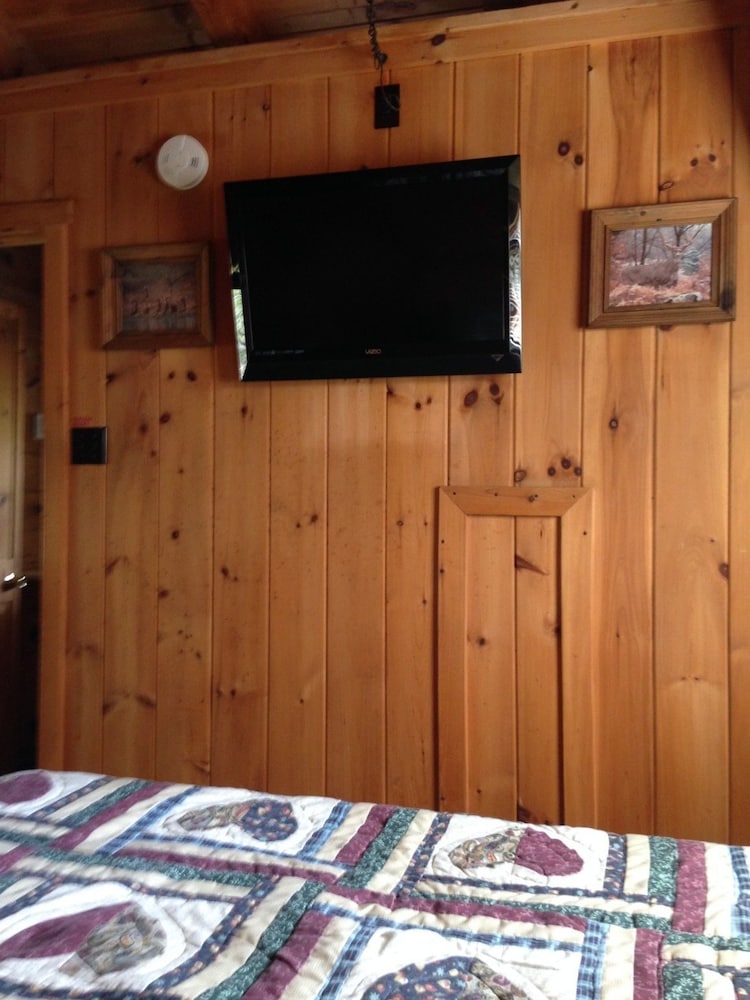 Rough Cut Lodge - photo 2