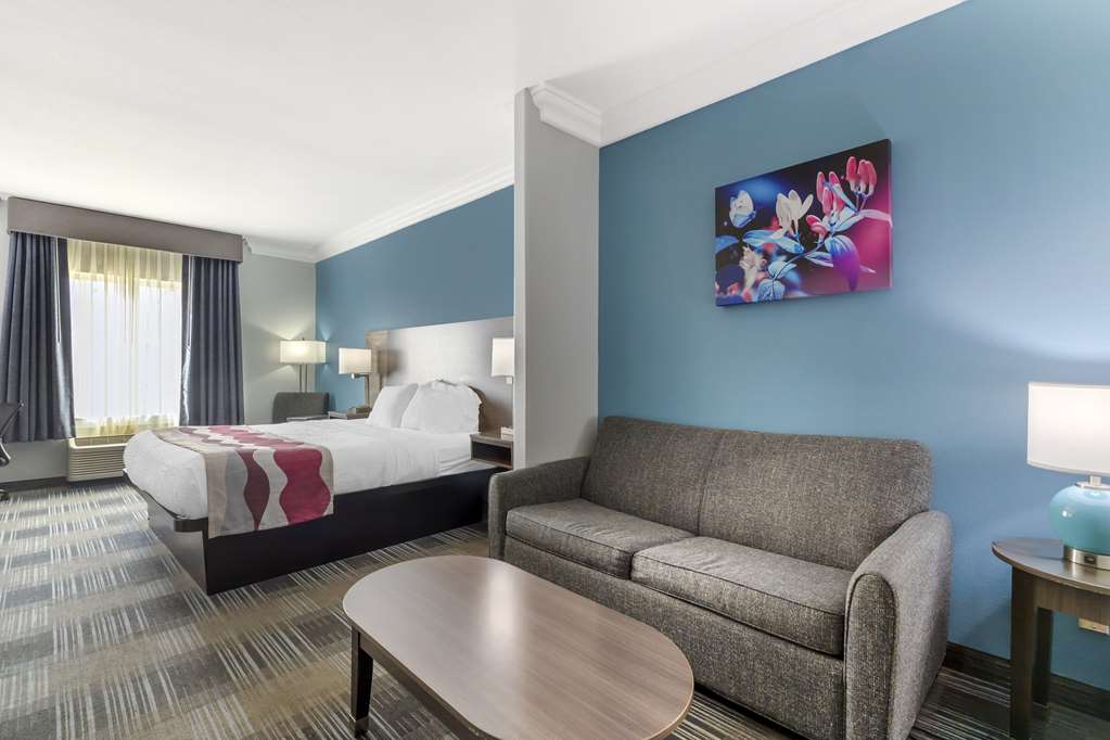 Best Western Medical Center North Inn & Suites Near Six Flags - photo 12