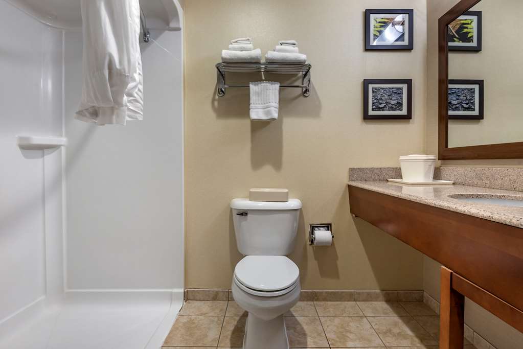Comfort Inn & Suites Farmington Victor - photo 16