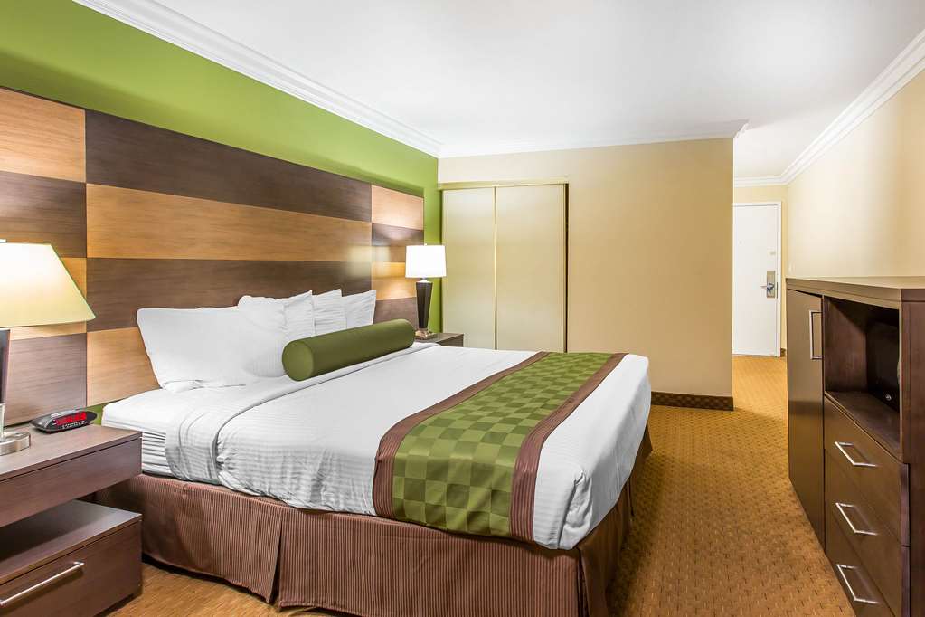 Rodeway Inn & Suites Canyon Lake Menifee West - photo 10