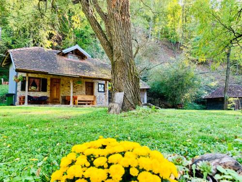 Kuca za odmor Todorovica mlin in Gornji Milanovac, Serbia