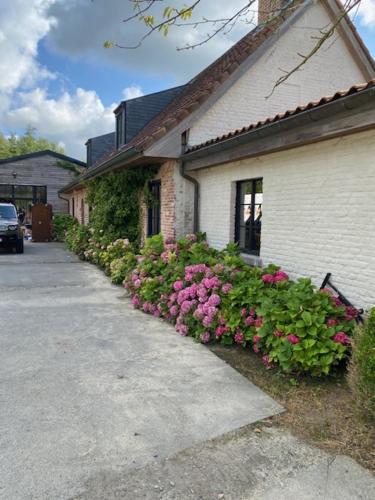 Domus Mater - carbon neutral hotel in Oudenaarde