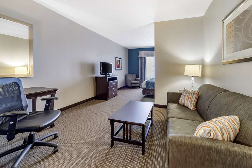 Comfort Inn & Suites Oklahoma City West I 40 - photo 13