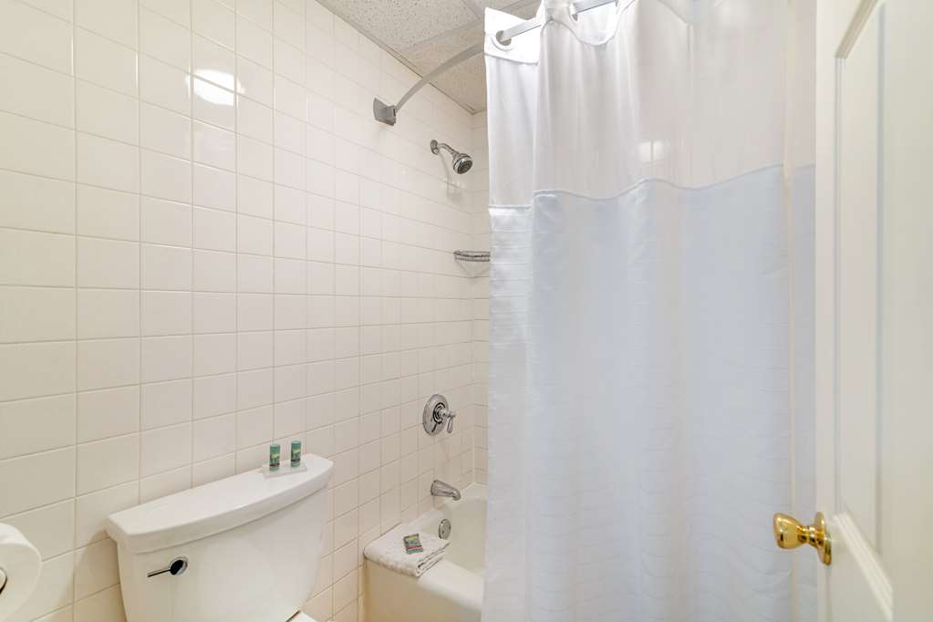 Best Western White House Inn - photo 70