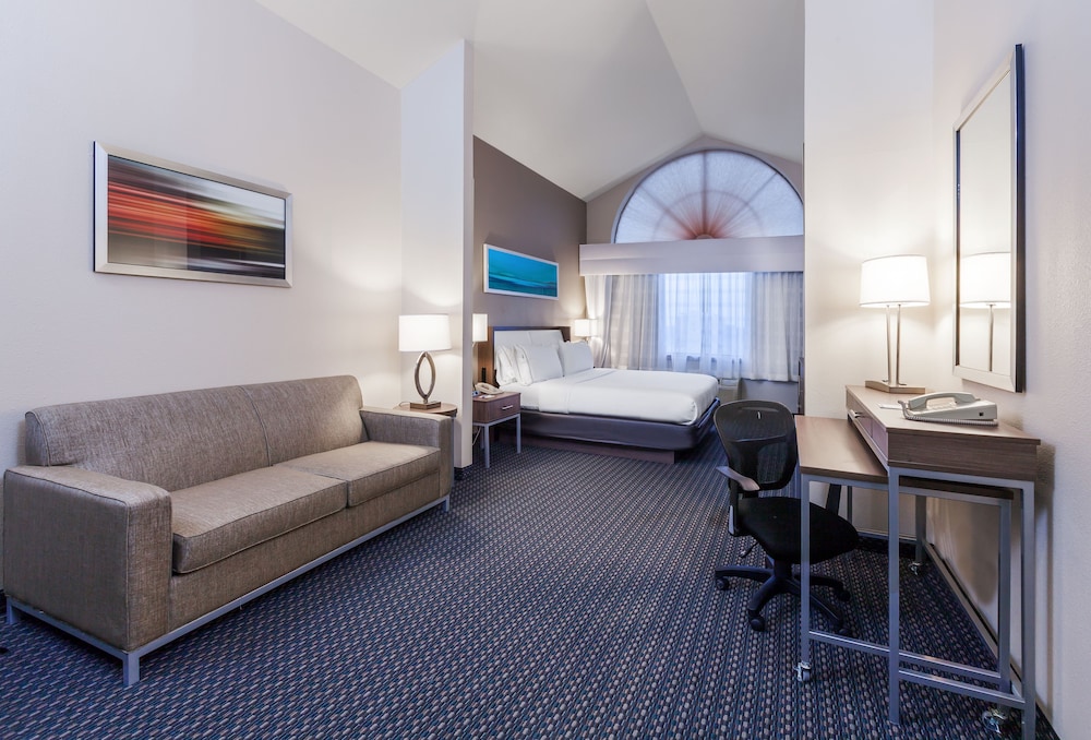 Holiday Inn Express Hotel & Suites Pharr by IHG - photo 9