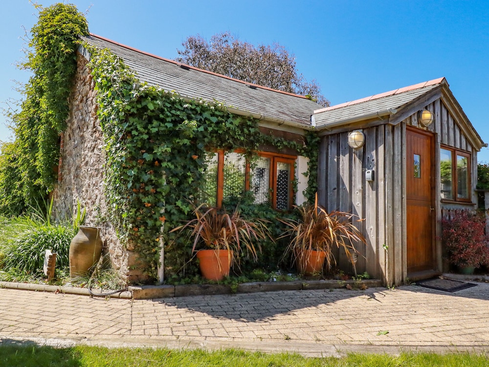 Abalone in Bude, United Kingdom