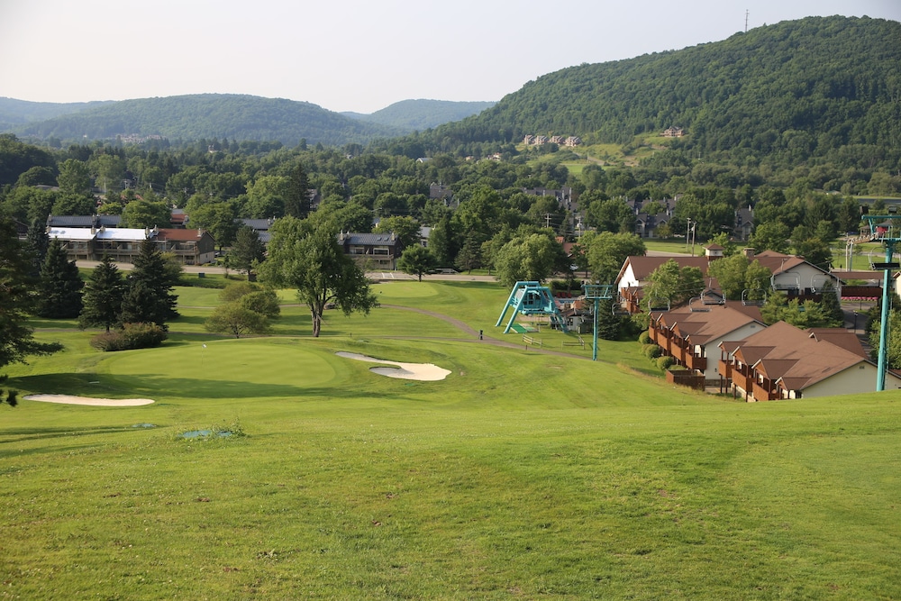 The Inn At Holiday Valley - photo 30