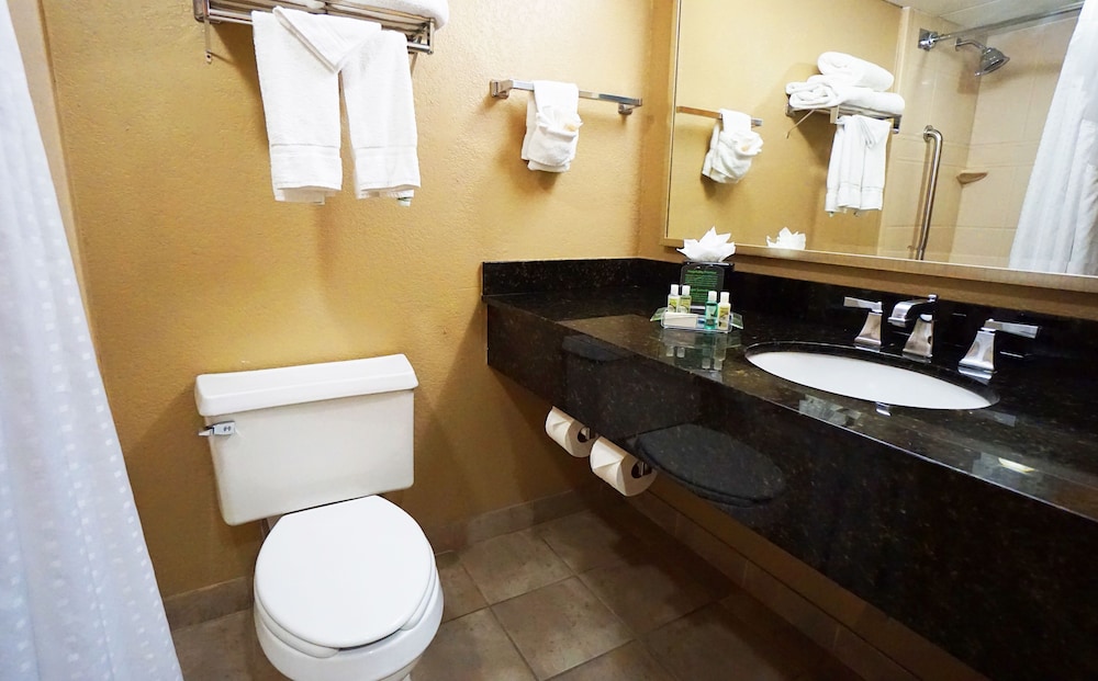 Holiday Inn Corpus Christi Downtown Marina by IHG - photo 20
