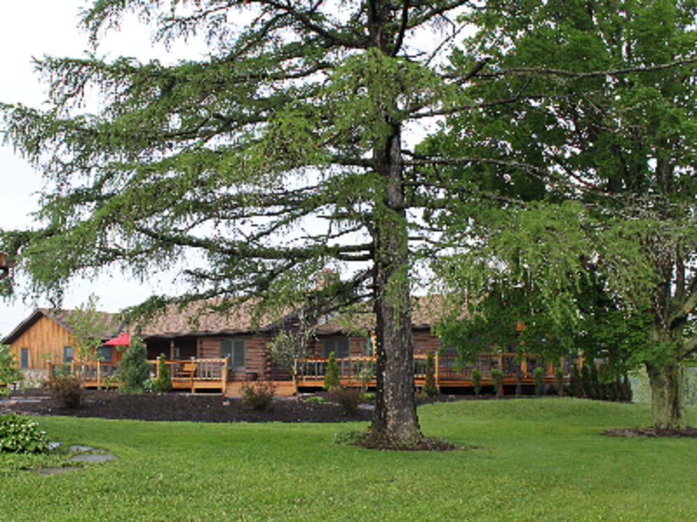 Bear Lodges & 131 Main Street - photo 15