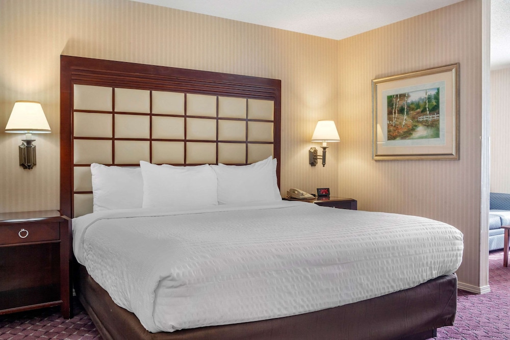 Wintergreen Hotel & Conference Center - photo 24