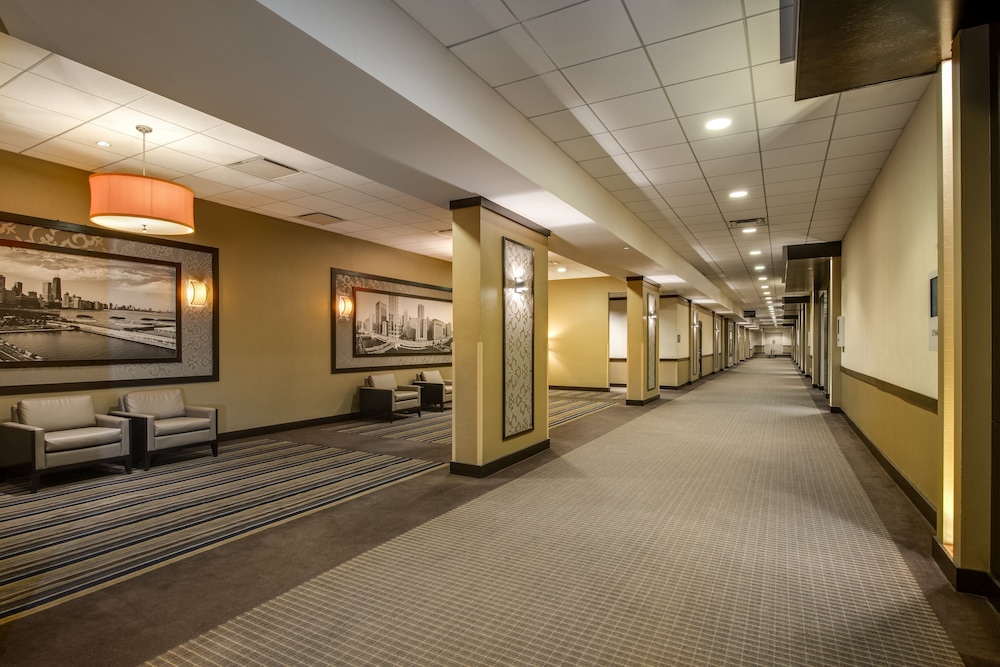 Crowne Plaza Chicago Ohare Hotel & Conf Ctr by IHG - photo 63