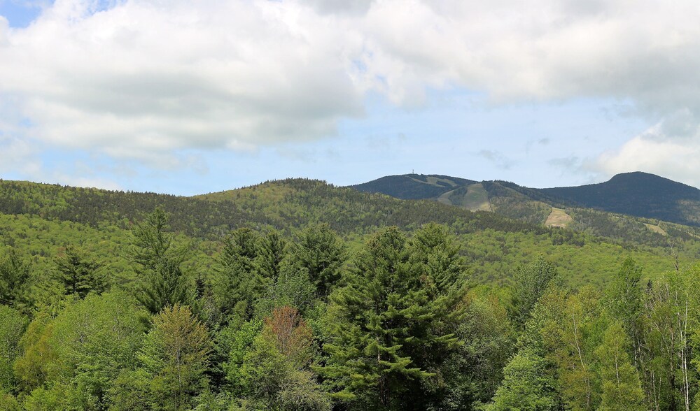 Golden Eagle Lodge Resort - photo 57